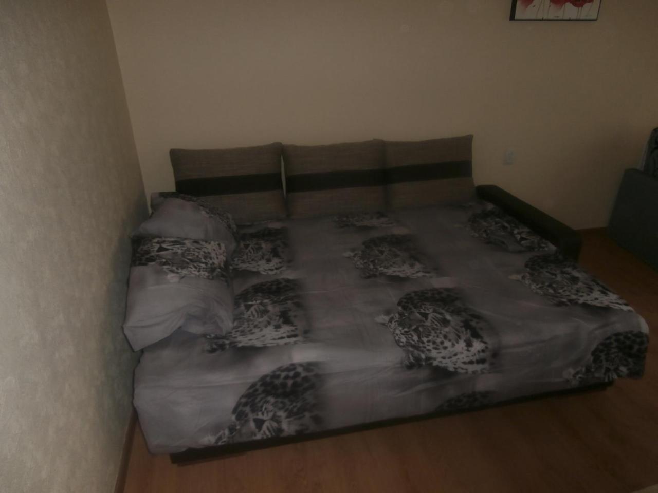 Central Daugavpils Apartment エクステリア 写真
